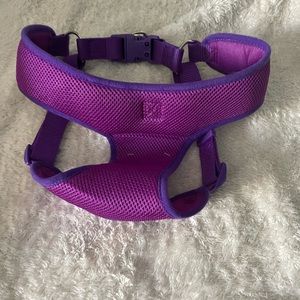 NWOT L purple dog harness